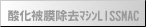 �_���疌�������\�ł�